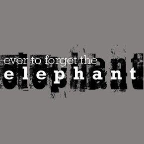 Ever to Forget the Elephant – Olivia Whyte Ever to Forget the Elephant – Olivia Whyte