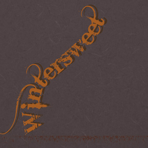 Wintersweet – Didi Hughes Wintersweet – Didi Hughes